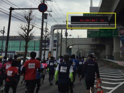 横浜マラソン1